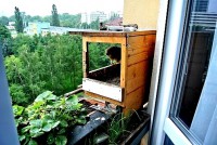 /album/a10-6-2013/mamina-krici-jpg1/